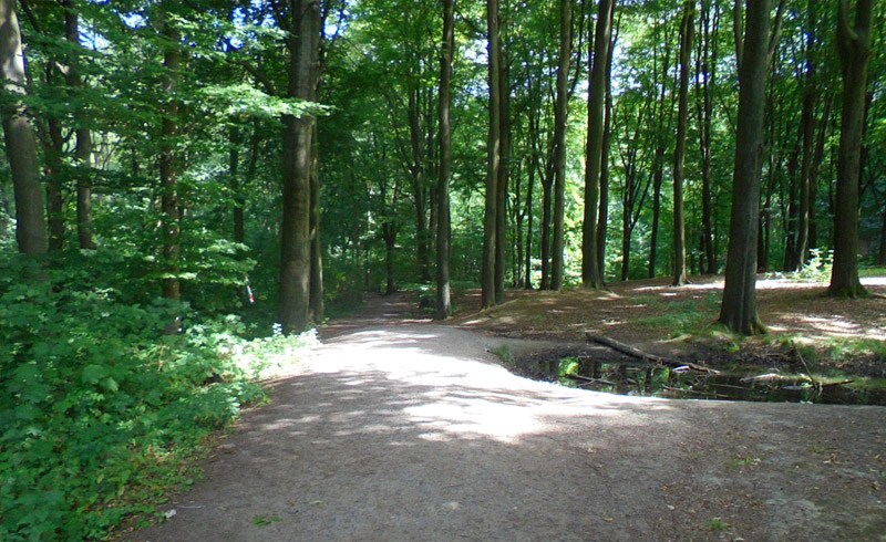 Zomerwandeling