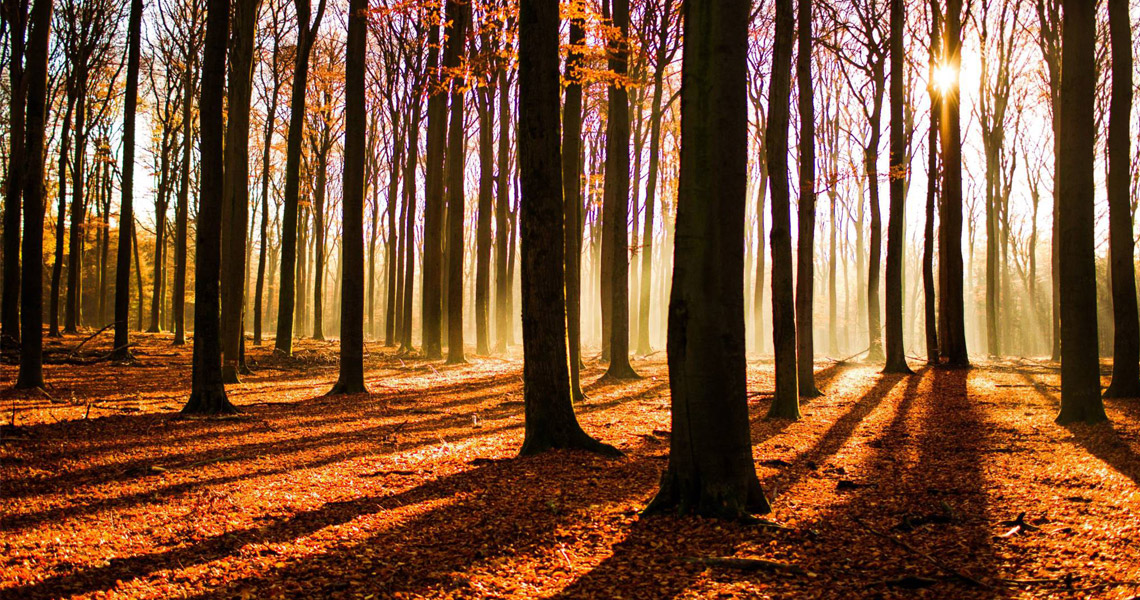 Herfstwandeling Omloop Kluisbergen