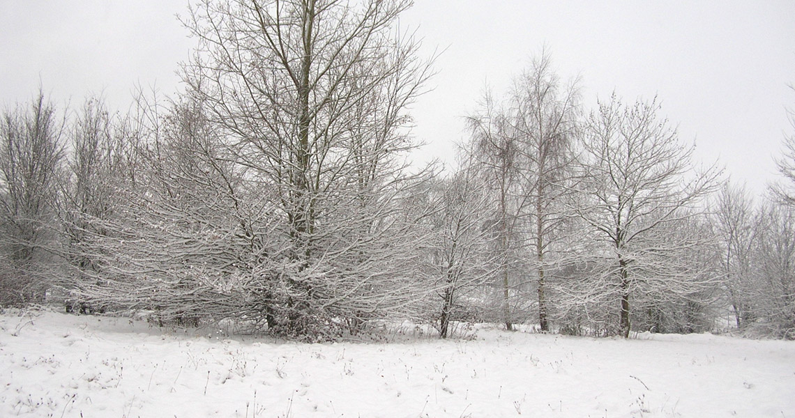 Winterwandeling Omloop Kluisbergen