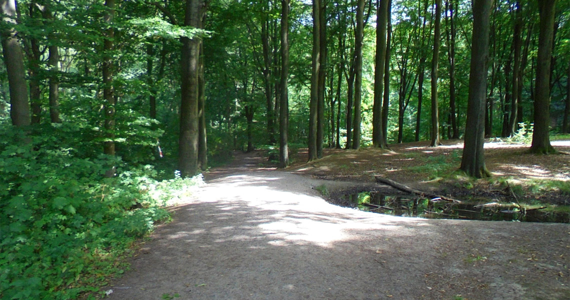 Zomerwandeling Omloop Kluisbergen